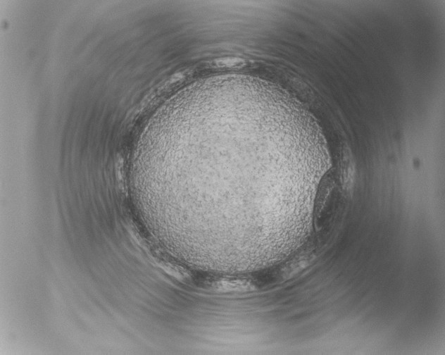 X0000051260270200507152223