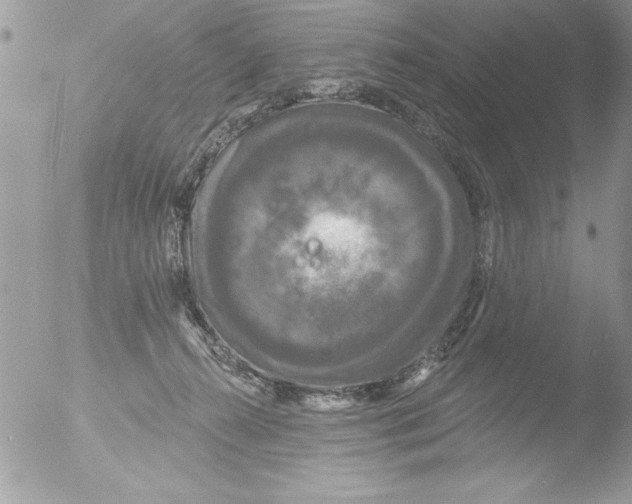 X0000051260272200507152223