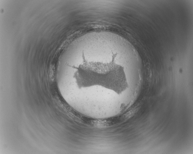 X0000051260273200507152223