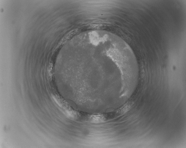 X0000051260275200507152223