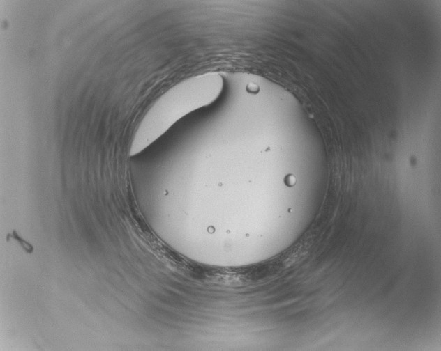 X0000051260276200507152223