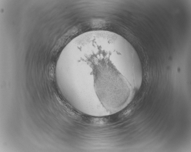 X0000051260277200507152223