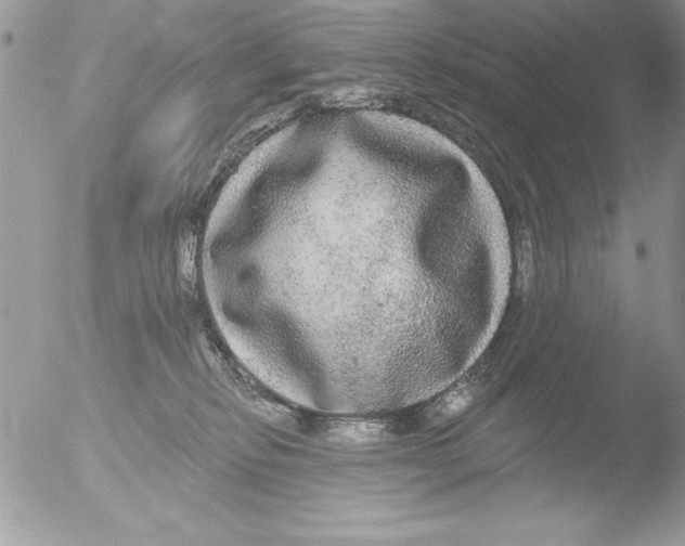 X0000051260278200507152224