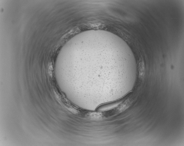 X0000051260279200507152224