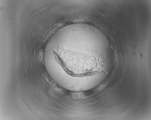 X0000051260281200507152224