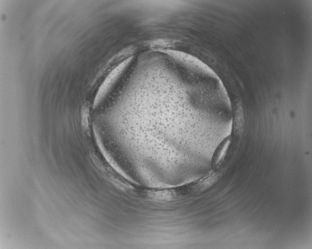 X0000051260282200507152224