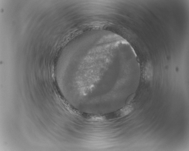 X0000051260283200507152224