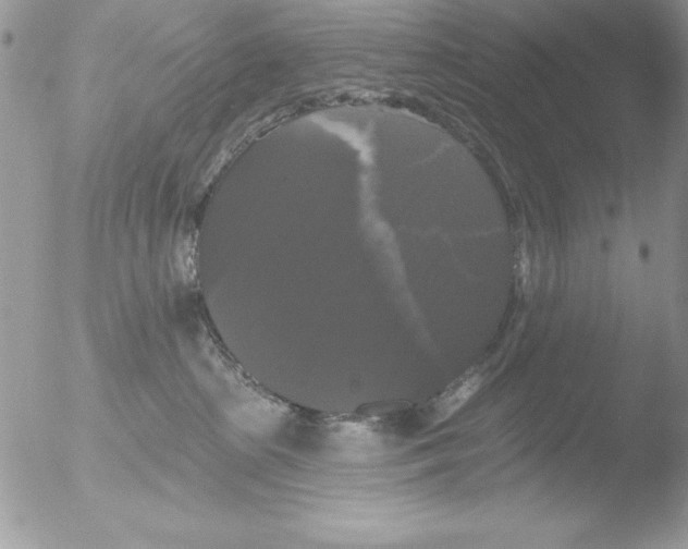 X0000051260285200507152224