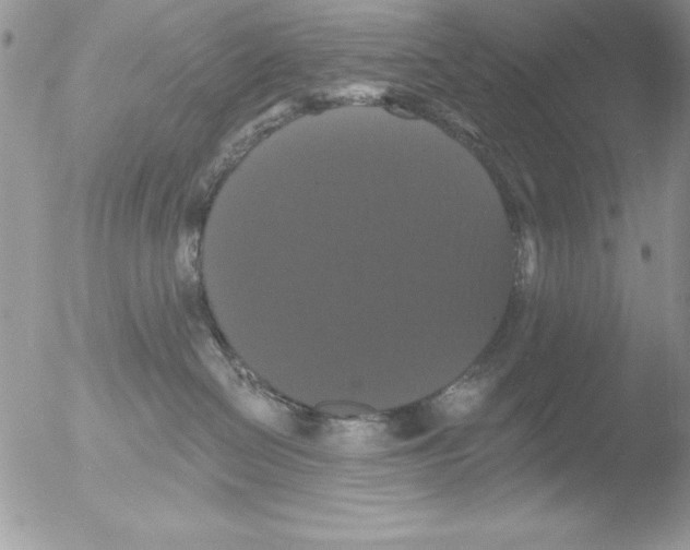 X0000051260286200507152224