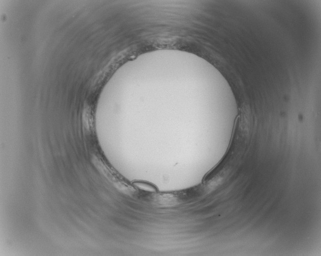 X0000051260287200507152224