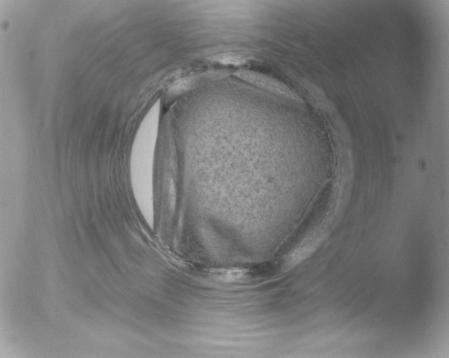 X0000051260288200507152224