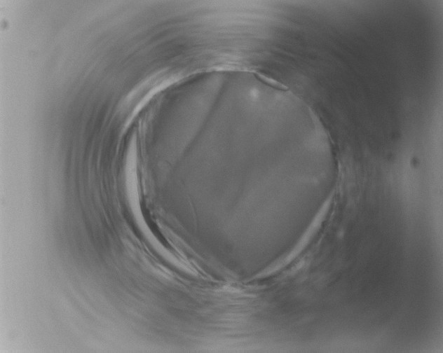 X0000051260290200507152223