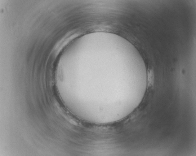 X0000051260291200507152223