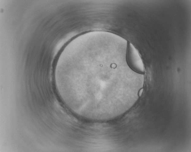 X0000051260292200507152223