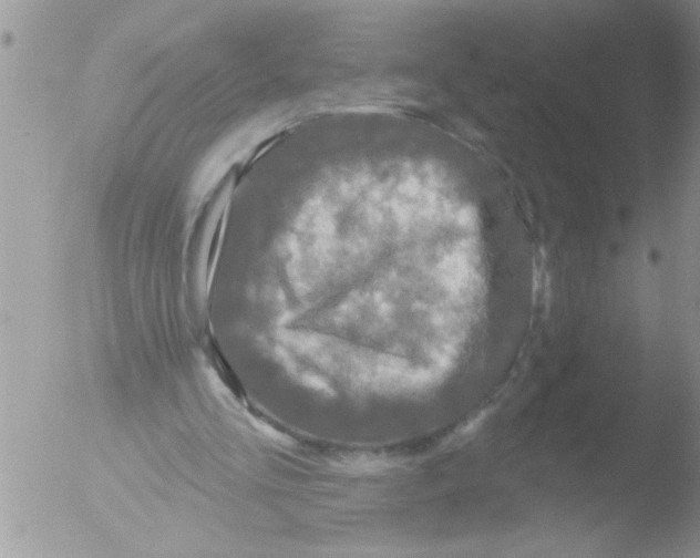 X0000051260293200507152223