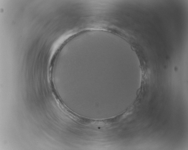 X0000051260294200507152223