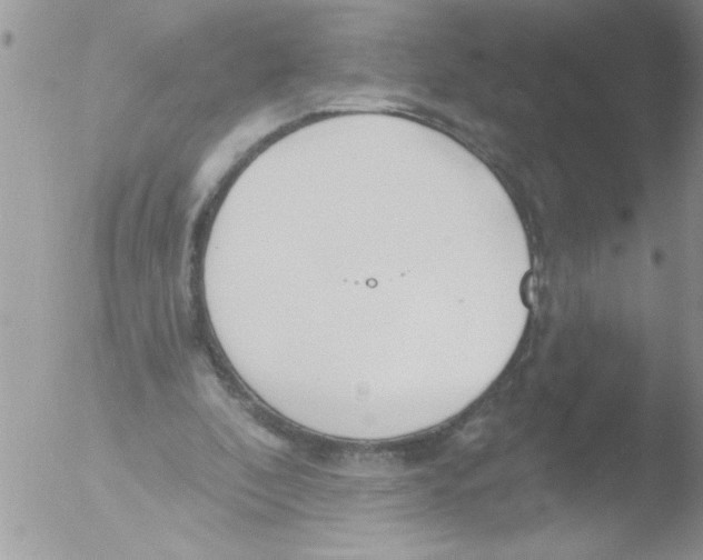 X0000051260296200507152223