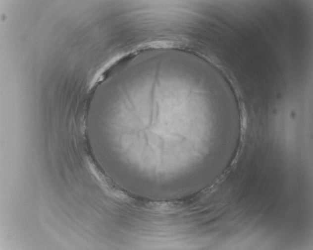 X0000051260297200507152223