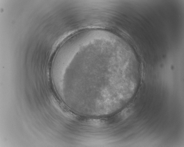 X0000051260298200507152223