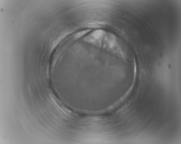 X0000051260299200507152223