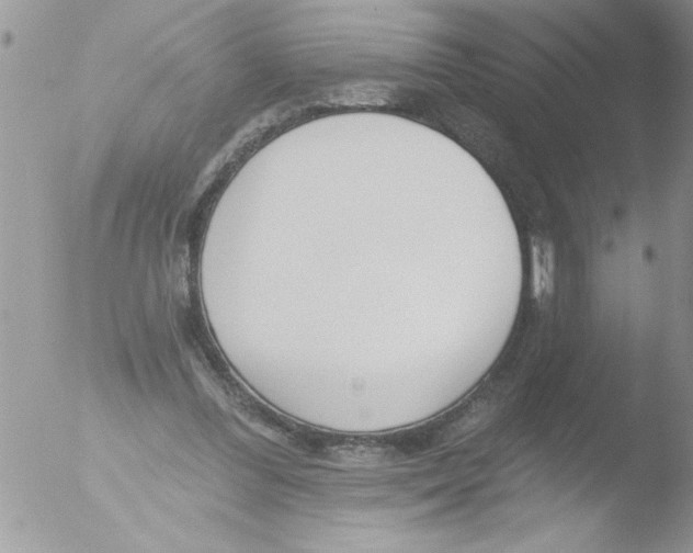 X0000051260300200507152223