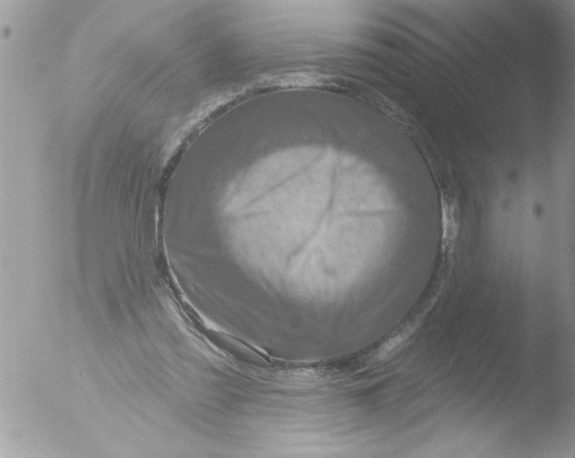 X0000051260301200507152223