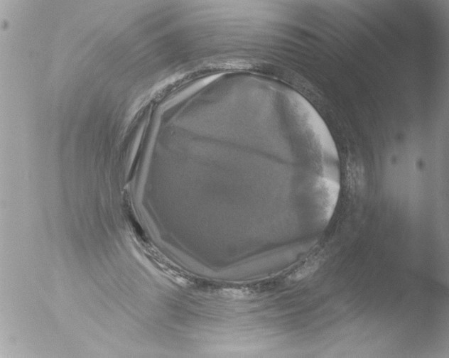 X0000051260302200507152223