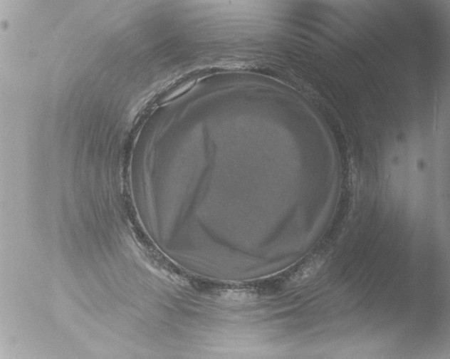 X0000051260303200507152223