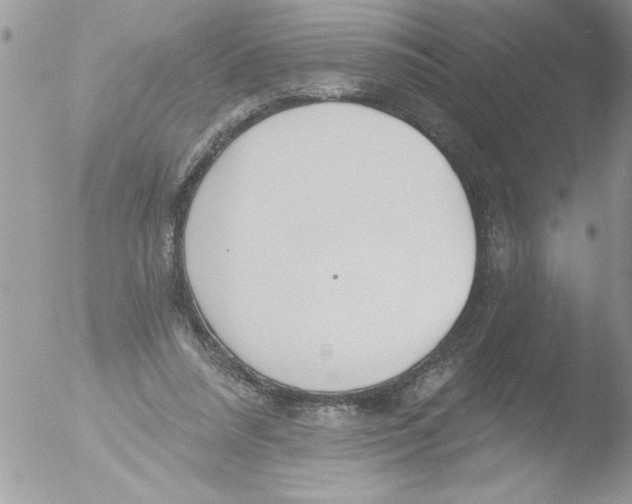 X0000051260304200507152223