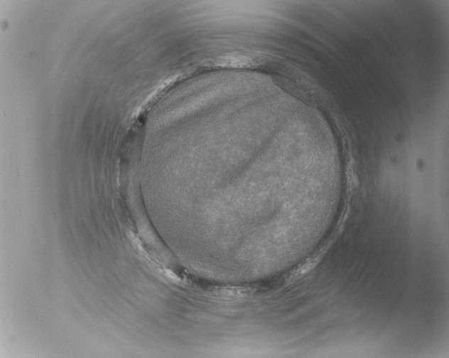 X0000051260305200507152223