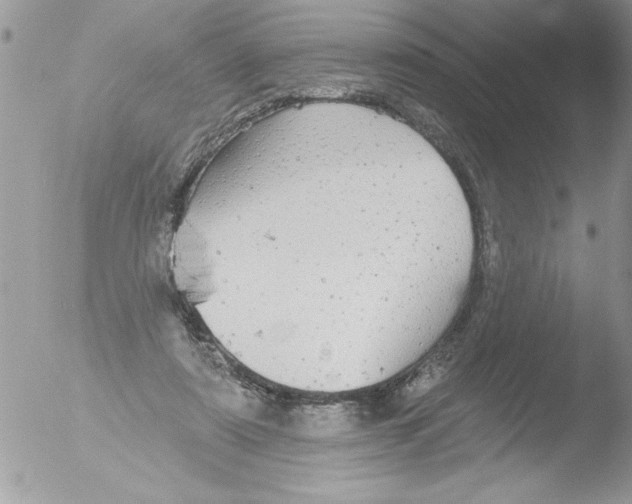 X0000051260307200507152223