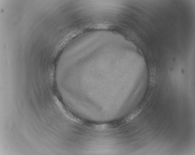 X0000051260309200507152222