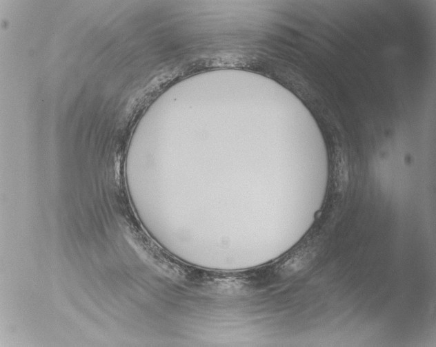 X0000051260310200507152222