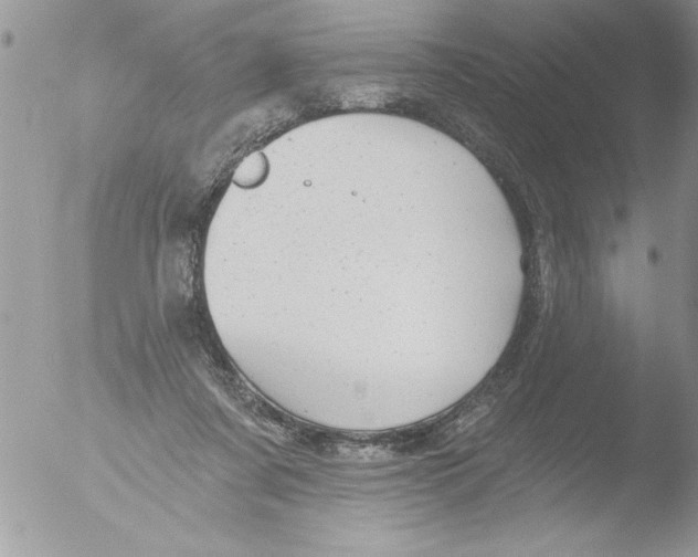 X0000051260311200507152222