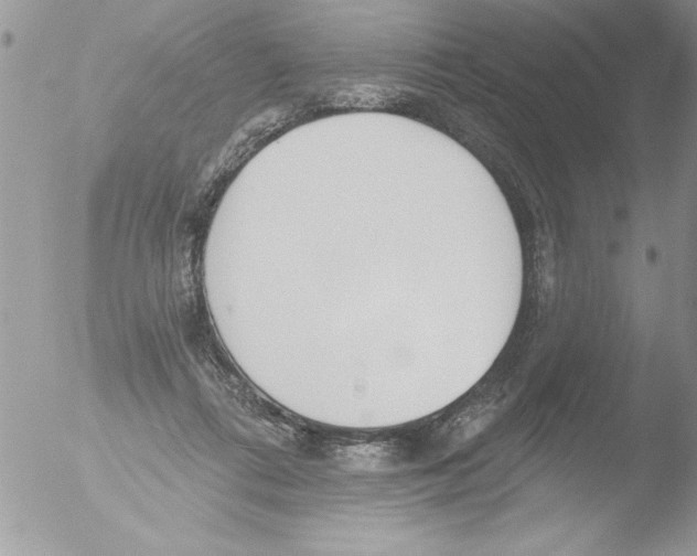 X0000051260312200507152222