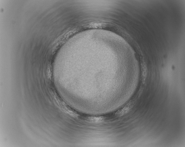 X0000051260313200507152222