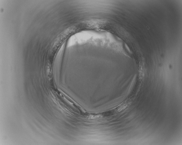 X0000051260314200507152222