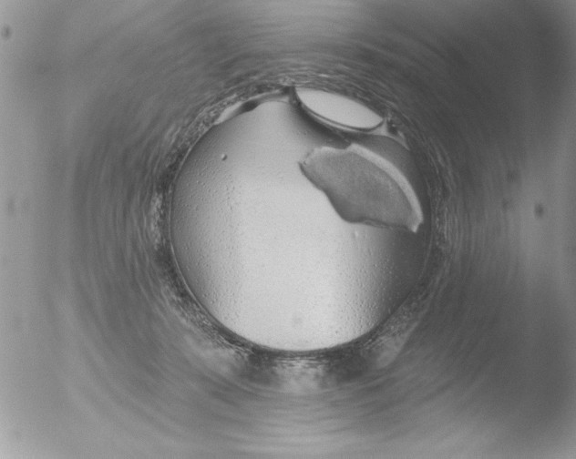 X0000051260319200507152222