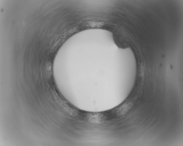 X0000051260321200507152222