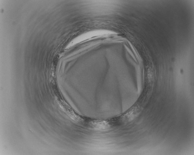 X0000051260322200507152222