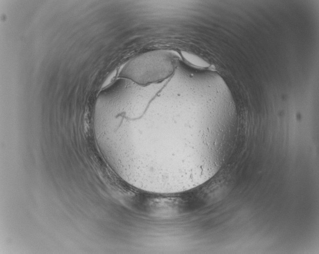 X0000051260323200507152222