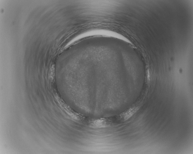 X0000051260325200507152222