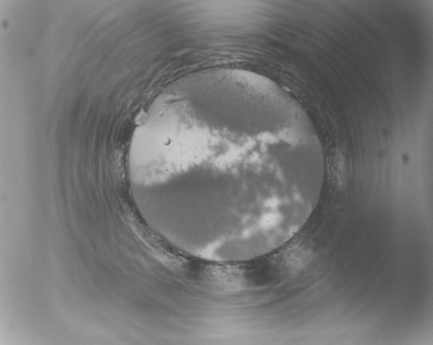 X0000051260327200507152222