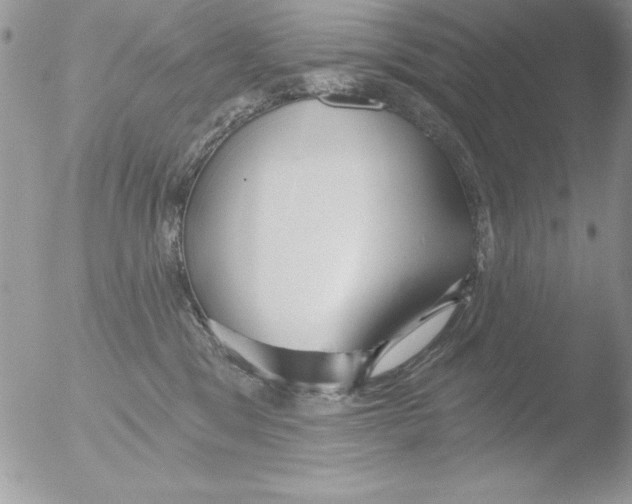 X0000051260329200507152222