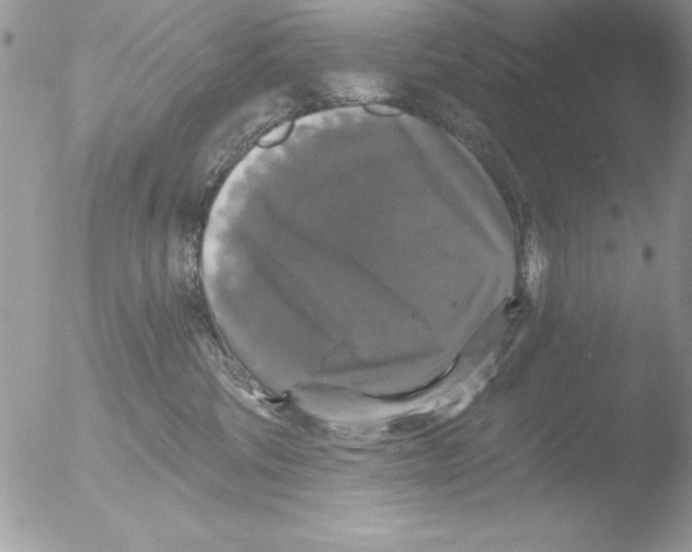 X0000051260330200507152222