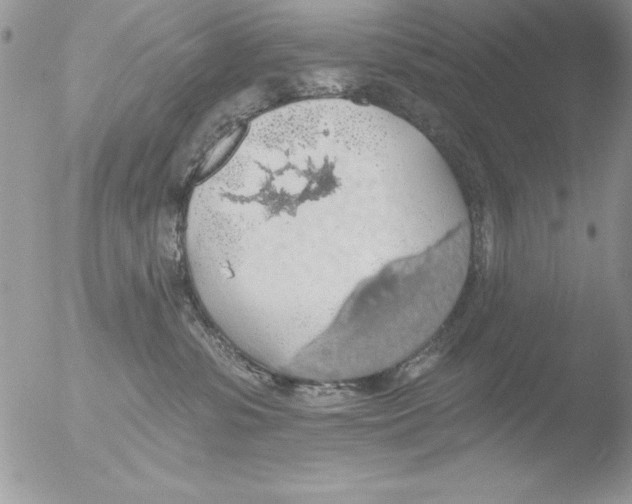 X0000051260331200507152222