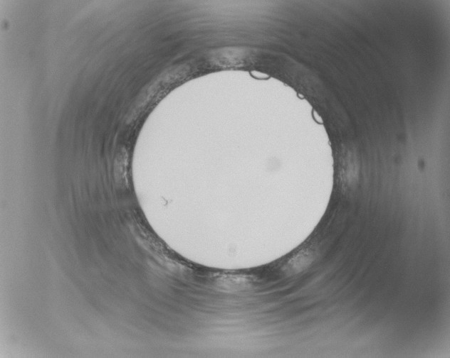 X0000051260332200507152222