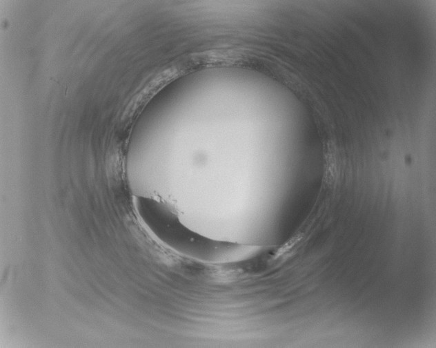 X0000051260333200507152222