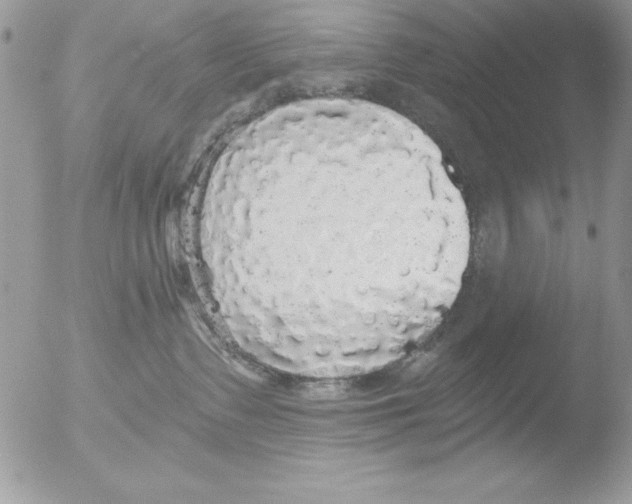 X0000051260335200507152222