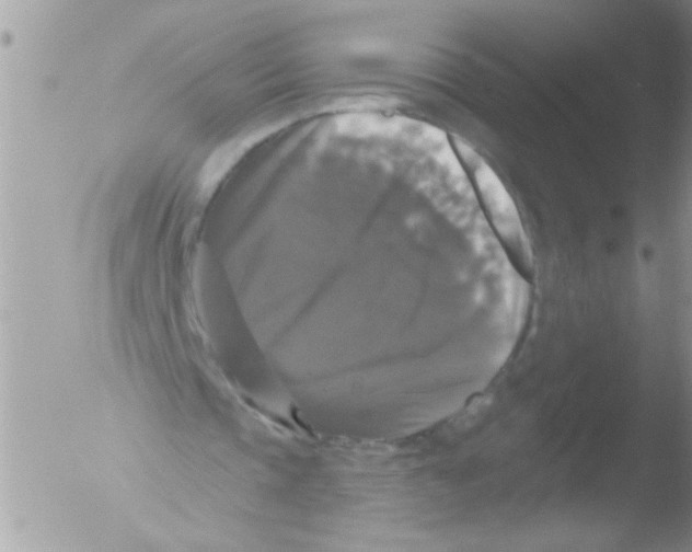 X0000051260337200507152221